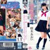 セーラー服とドSマシンガン パンチ キック 淫語アッパー 関西弁でM男を完全支配 フルボッコ性交 枢木あおい