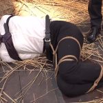 メ豚小屋 女体家畜PLANT 最上一花 - 2