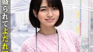 すみれ 民泊経営者の極秘ファイル