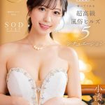 芸能人が5つ星のおもてなしで極上射精へと導いてくれる超高級風俗ヒルズ5シチュエーション 小湊よつ葉 - 1