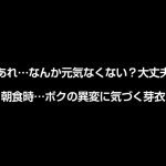 【VR】ストレス軽減 元気回復VR ボクは今日…同棲中の彼女の一言で救われた。芽依はボクのすべてを認めてくれる全肯定彼女。 さつき芽衣 - 5