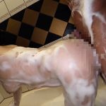 【4K】新しくできた彼女と初めてエッチするためラブホに来たら…想像以上のエロ爆乳で何度もイカせて何度も中出ししちゃいました 花柳杏奈 - 8