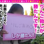【車内で即ヌキWフェラ】映え美少女しか勝たん!!ド級の美少女インフルエンサーひなこす降臨!!チ●コを両手にヌキ×2昇天Wピース!神尻揉みしだき バエる 潮噴射!スケベ衣装を身にまとい中出し連続セックスでバズれッwww【NO.1ひなこす】 森日向子 - 2