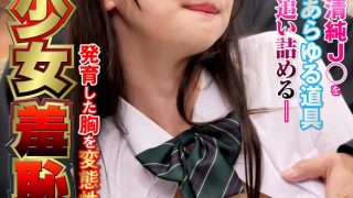巨乳少女羞恥電車3 発育した胸を変態性癖で汚しまくれ！ 玩具イカセ長身娘