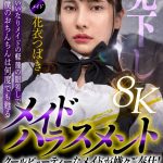 【VR】メイドハラスメント いいなりメイドの軽蔑の眼差しで僕のおちんちんは何度でも甦る 花衣つばき - 13