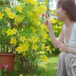 Miru7 Shining Legend・miru - 1